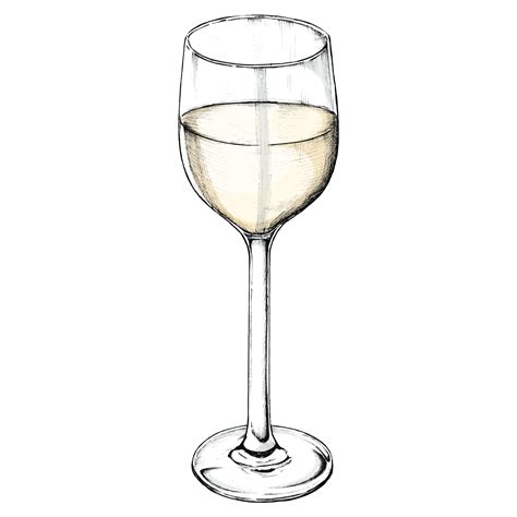 Hand drawn white wine glass - Download Free Vectors, Clipart Graphics & Vector Art