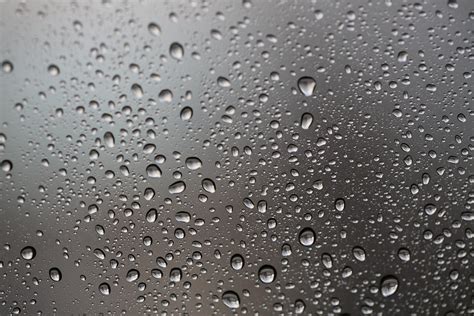 Waterdrops Macro Free Photo Download | FreeImages