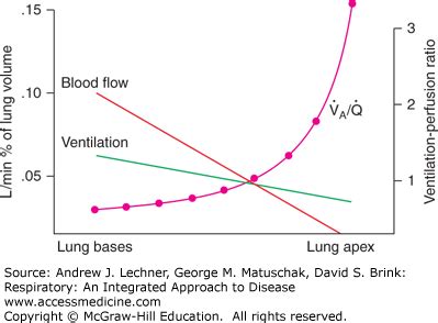 Ventilation/Perfusion Matching and Estimating Alveolar Ventilation ...