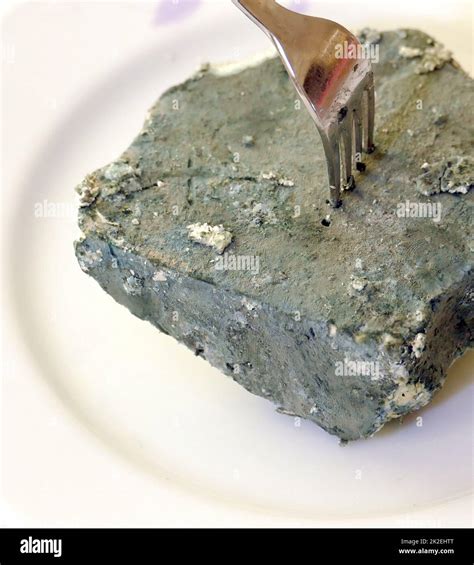 moldy cheese,close-up very moldy cheese,penicillin raw material cheese mold Stock Photo - Alamy