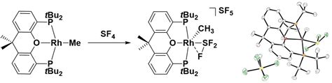 Reactivity of Xantphos‐Type Rhodium Complexes Towards SF4: SF3 Versus SF2 Complex Generation ...