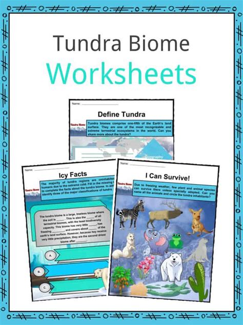 Biome Worksheets For Kids