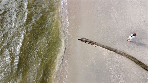 Aerial Photography of a Beach · Free Stock Photo