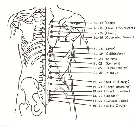 Free Kyusho Jitsu Courses - the science of pressure point self defense