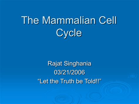 The Mammalian Cell Cycle