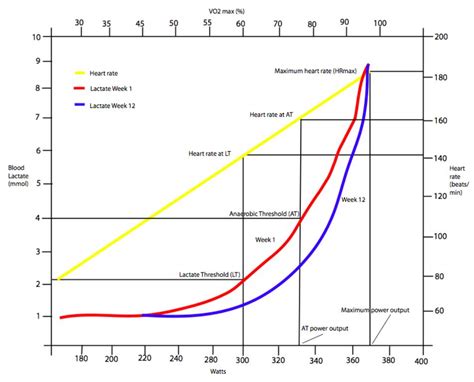 Anaerobic threshold