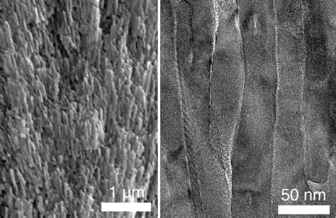 Why artificial tooth enamel is so hard to make | Popular Science