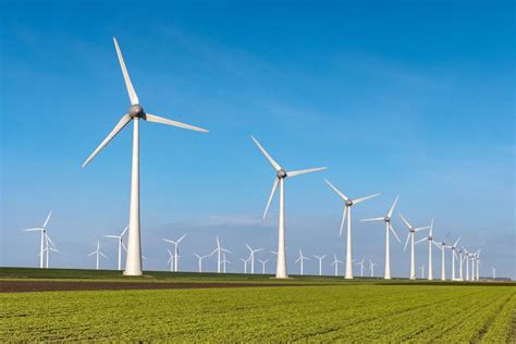 Wind Farms Impact Microclimate of Surrounding Regions