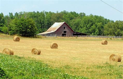 Hay~ Barn | Hay barn, House styles, Barn