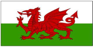 Wales Flag Printables