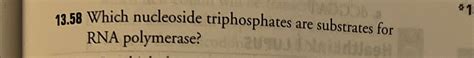 Solved 13.58 ﻿Which nucleoside triphosphates are substrates | Chegg.com