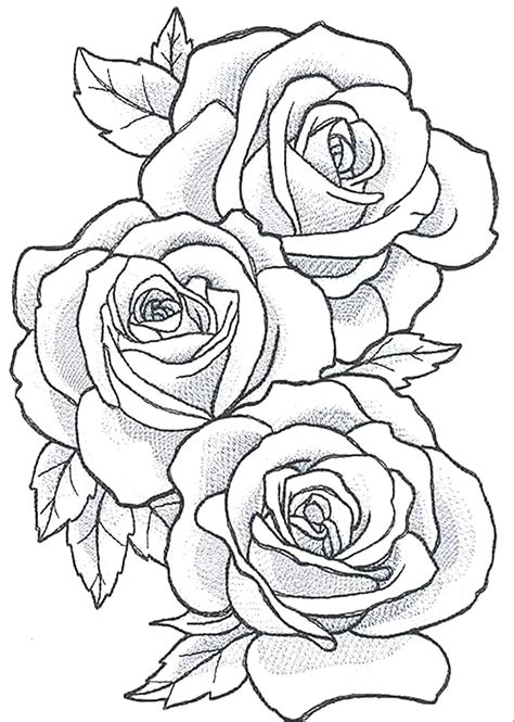 Rose Drawing Outline | Follow along to learn how to draw this realistic ...