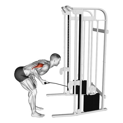 Dumbbell Tricep Kickbacks: Benefits, Muscles Worked, and More - Inspire US