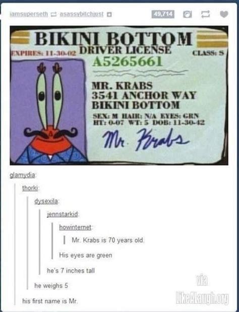 spongebob driver's license meme - Estrella Kraft