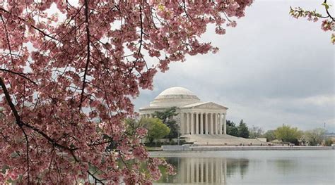 WASHINGTON DC CHERRY BLOSSOM FESTIVAL & PARADE: APRIL 13-16, 2023 ...