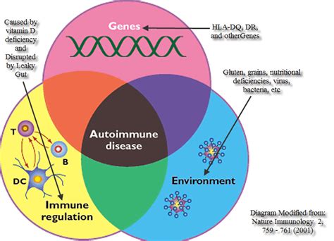 Gluten and the Autoimmune Disease Spectrum | Gluten-Free Society