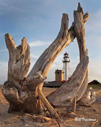 Whitefish Point Lighthouse | A nice stand of driftwood frame… | Flickr