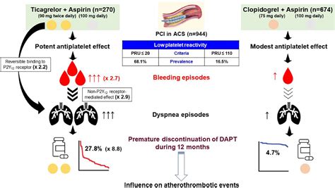 Frontiers | Prevalence of adverse events during ticagrelor versus clopidogrel treatment and its ...