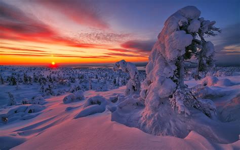 Wallpaper : winter, sunset, landscape, snow 2560x1600 - rudrachl - 1666557 - HD Wallpapers ...