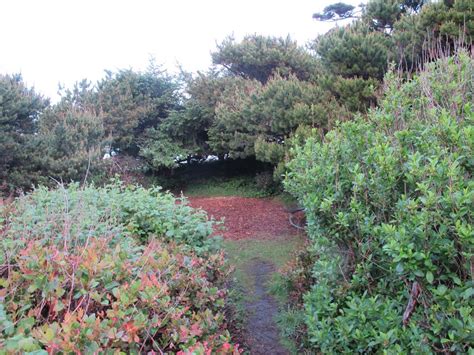 Tillicum Beach Campground - Oregon Coast