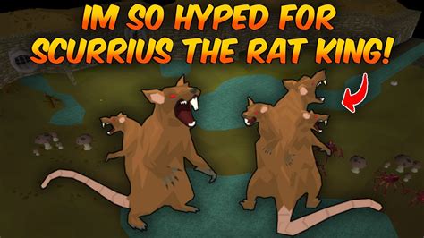 IM SO HYPED FOR Scurrius The Rat King (OSRS) - YouTube