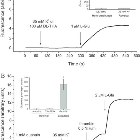 Glutamate dehydrogenase (GDH) assay: lack of unstimulated release of ...