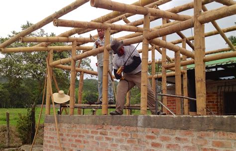 Advantages of Bamboo Building Products | Scottmcadams.org