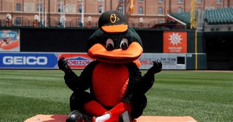 Orioles Bird Named Finalist For Mascot Hall Of Fame 2020 - CBS Baltimore