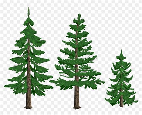 Pine Trees By Tyke44060 On Deviantart - Pine Tree Drawing Png - Free ...