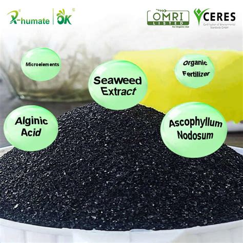 Fertiliser Producers Seaweed Extract Ascophyllum Nodosum