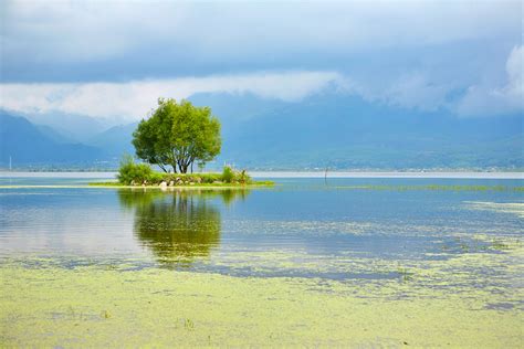 【丽江-拉市海摄影图片】丽江-拉市海风光摄影_Tony朱_太平洋电脑网摄影部落