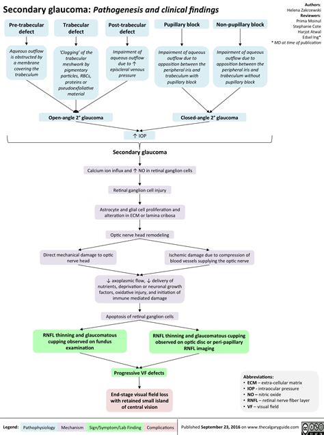 Secondary Glaucoma: Pathogenesis and Clinical Findings | Calgary Guide