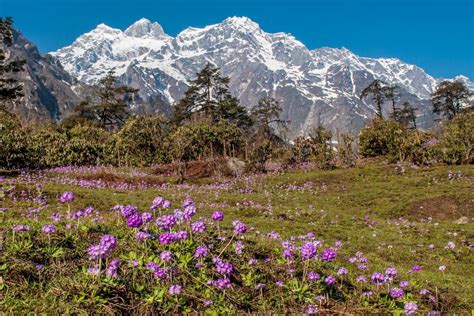 Sikkim Mountains