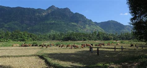 In Troubled Rakhine State, Focus Turns to Mountains