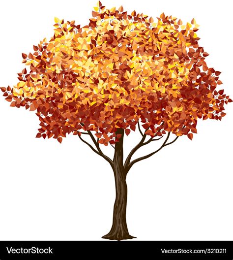 Autumn Tree Vector