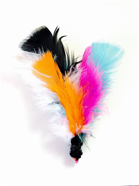 Feather Fun Cat Toys Feather Cat Toys Kitten Play Kitten