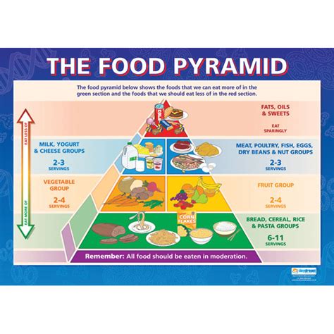 DayDream Education - Wall Chart - Healthy Eating - 841 x 594mm | Rapid ...