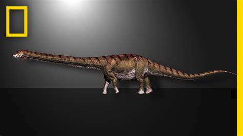 This Is the Biggest Dinosaur Ever Found | National Geographic ctm ...