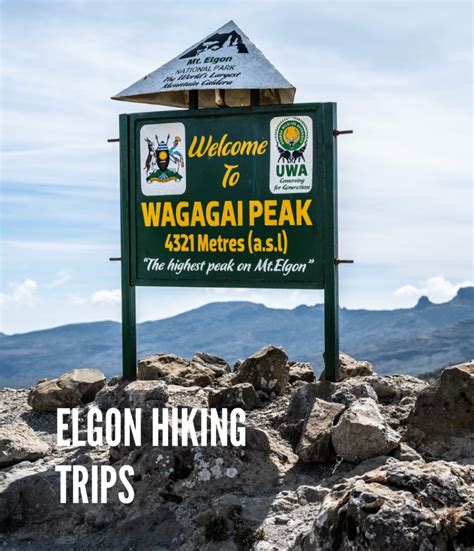 Hiking Mount Elgon - Early Trails Expeditions