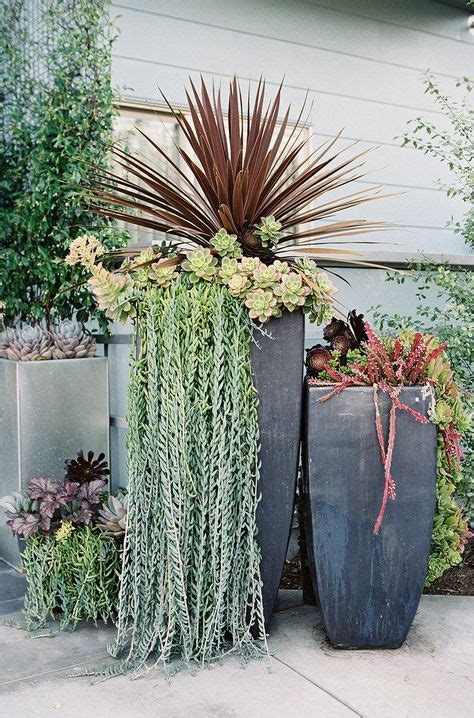 Succulent Pots: A Guide to Choosing the Perfect Pot for Your Beloved ...