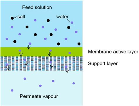 Tubular Membrane Module-The Suitable Configuration for Pervaporation Desalination Membrane ...