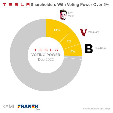 Who Owns Tesla: The Largest Shareholders Overview (2024)