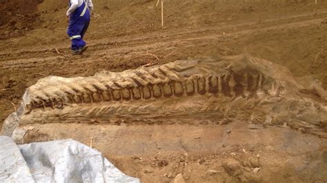 Oil Patch Workers Stumble Upon Massive New 'Complete Find' Dinosaur Fossil - Geology In