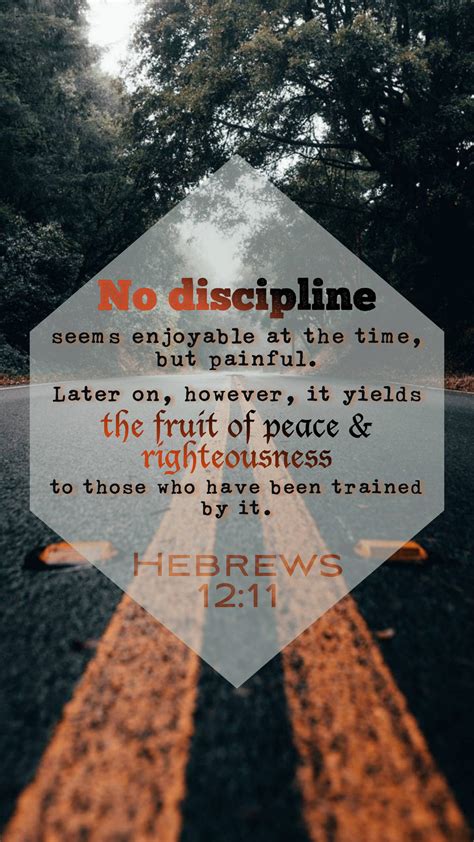 Download Biblical Quote About Discipline Wallpaper | Wallpapers.com