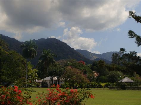 Jamaica Bound: Brooks Family Adventures Before, During and After the Fulbright: Hope Gardens and ...