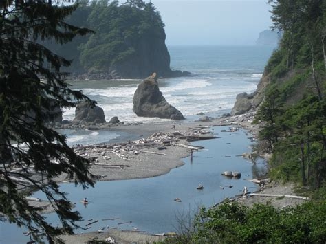 Washington State, Olympic National Park coast | National parks, Travel usa, Olympic national park