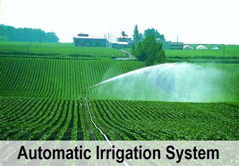 Pros and Cons of Automatic Irrigation System | Agriculture, Technology, and Business Market