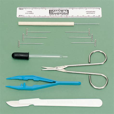 Standard Dissecting Set I | Carolina Biological Supply