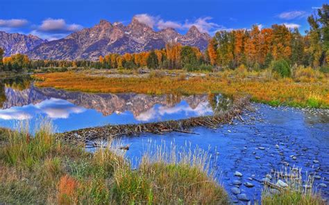 Autumn forest by the rocky mountains wallpaper - Nature wallpapers - #42283