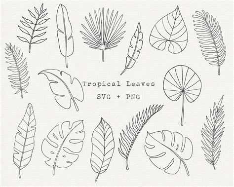 Tropical Leaves Clip Art Digital Botanical Leaf PNG Monstera ...